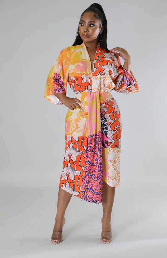 Lilly Print Dress