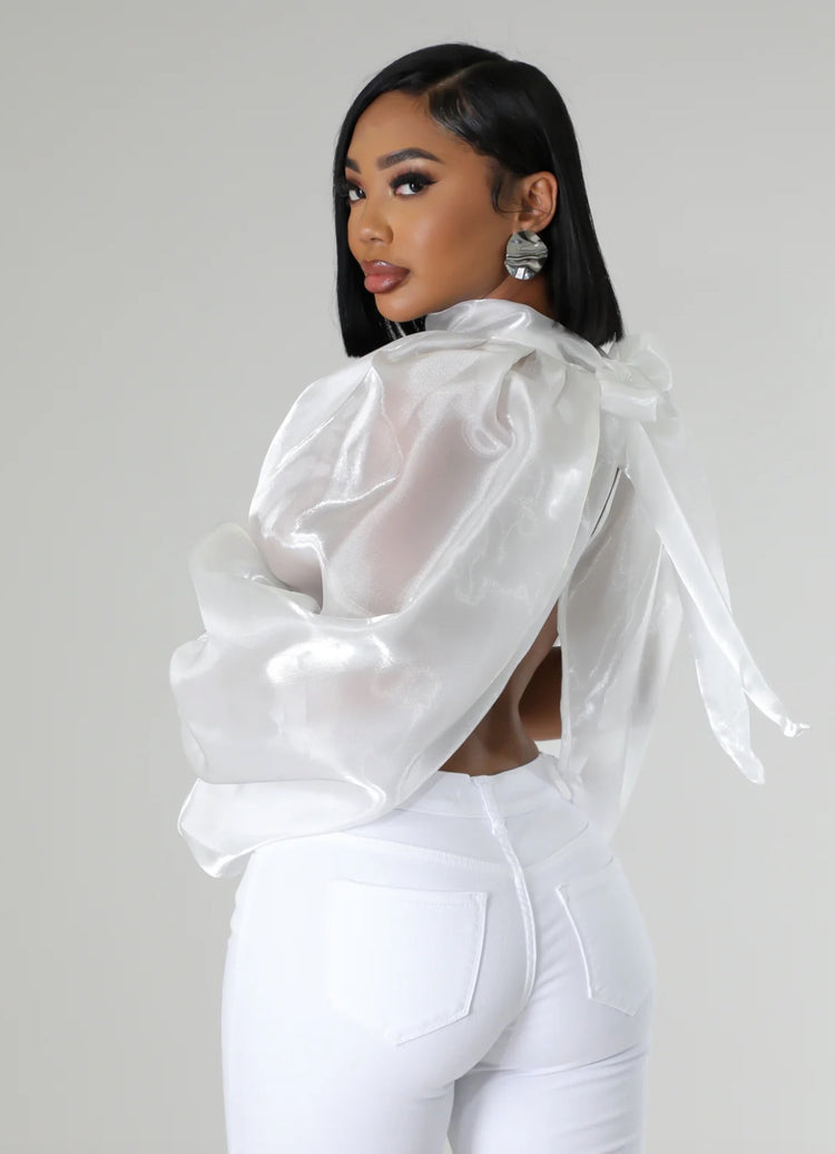 Sasha Organza Bubble Sleeve Top