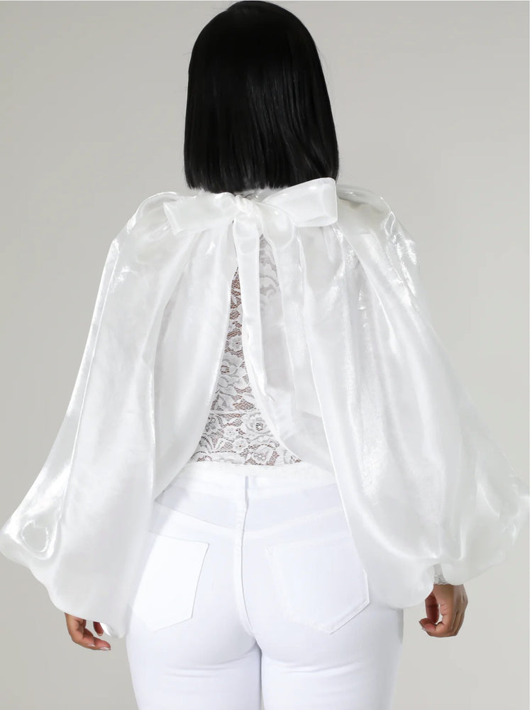Sasha Organza Bubble Sleeve Top
