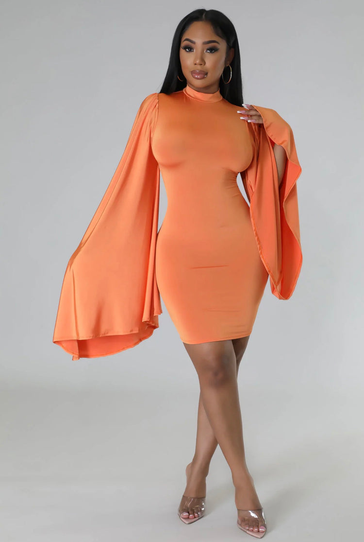 Brielle Belle Sleeve Dress