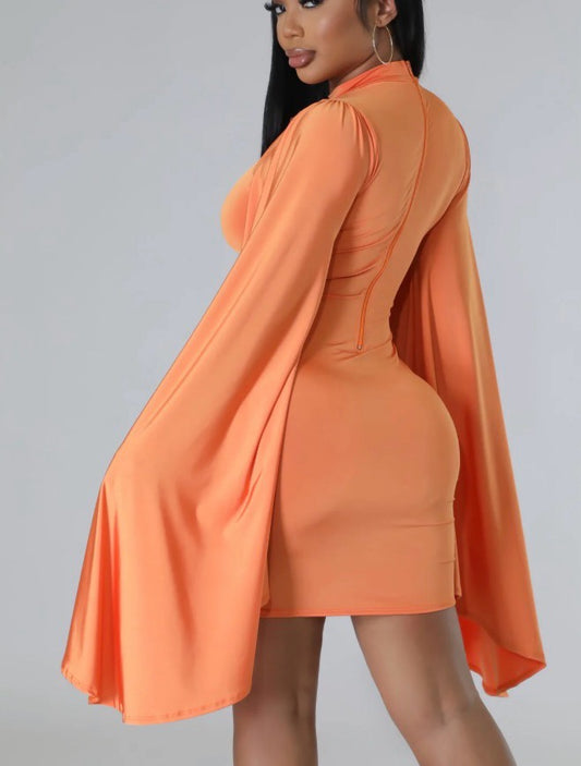 Brielle Belle Sleeve Dress