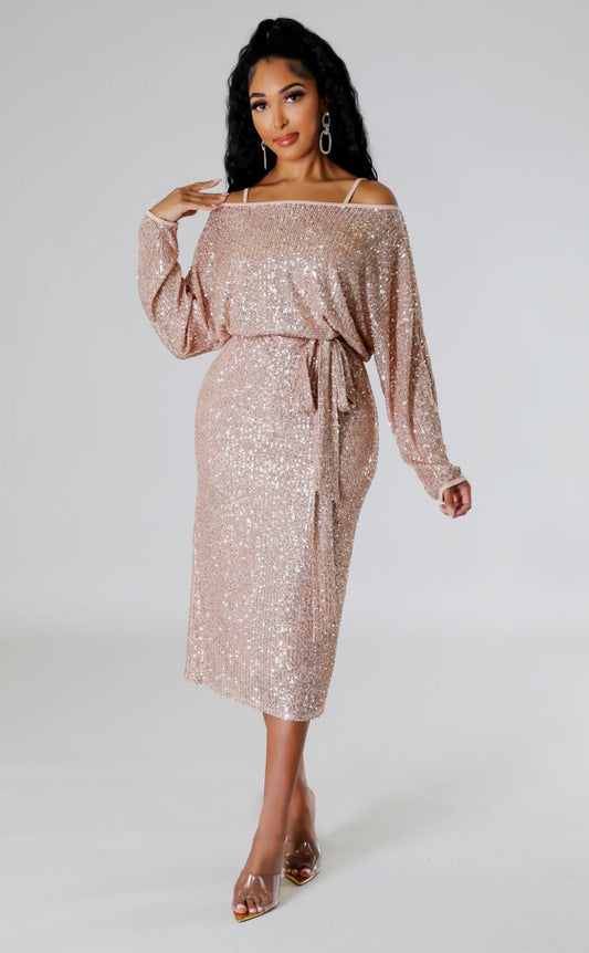 Plum Sparkle Dress With Removable Liner Dress