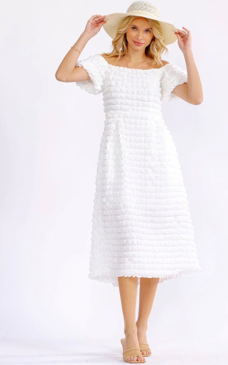Whitney Picket Stretch Dress