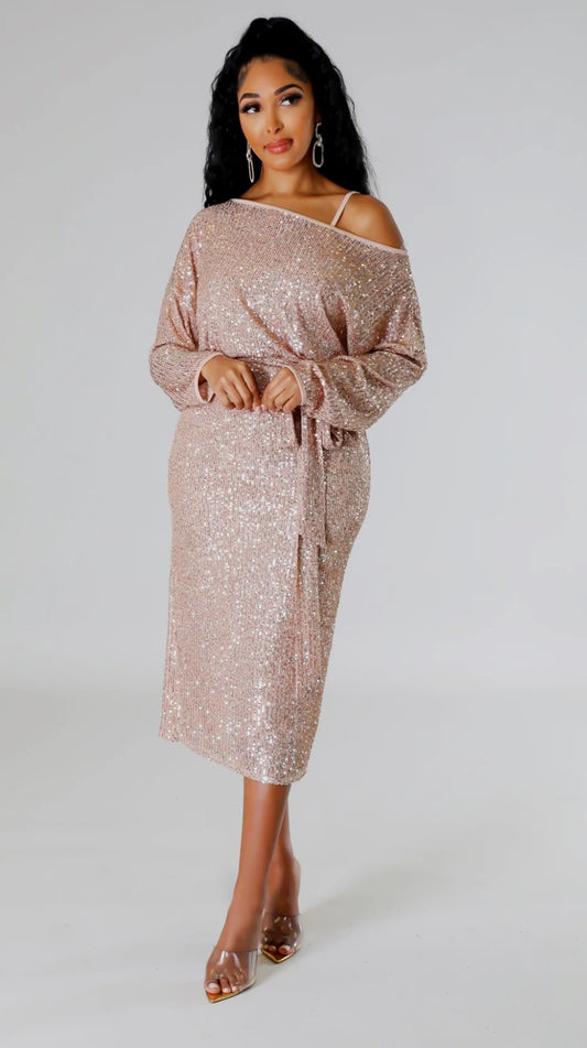 Champagne Sparkle Lined Fitted Inside Removable Dress
