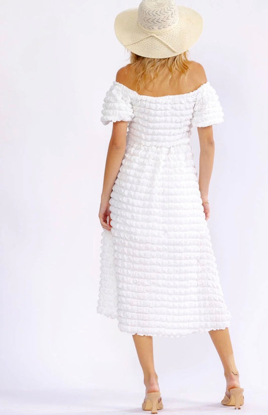 Whitney Picket Stretch Dress